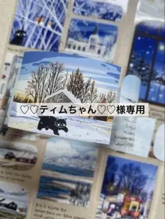 ♡♡ティムちゃん♡♡様 リクエスト 10点 まとめ商品