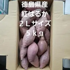 紅はるか 徳島県産２Lサイズ５Ｋｇ