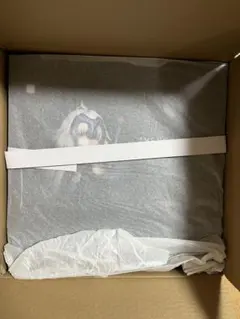 Fate ジャンヌ・ダルク〔オルタ〕 うたかたの夢Ver. [アルター]　FGO