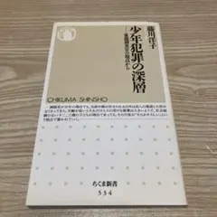 少年犯罪の深層 : 家裁調査官の視点から