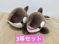 2026年最新】須磨シーワールド限定の人気アイテム - メルカリ