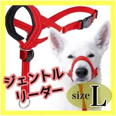 Item thumbnail for item 50925d3f-f2f8-4144-a434-f8a7f8959bf6