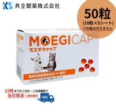 Item thumbnail for item 2e249383-d542-431d-ac87-e1fcd2932bb2