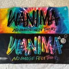WANIMA グッズ ピック