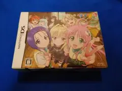 NINTENDODSソフト ToLOVEる ワクワク!林間学校編 限定版