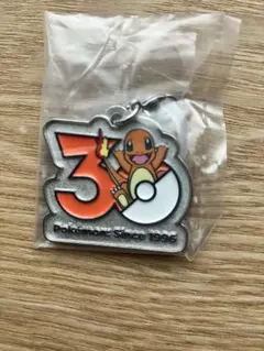 ポケモン 30周年 メタルチャームマスコット ヒトカゲ