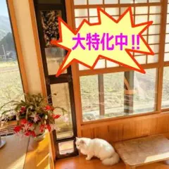 Item thumbnail for item 91743f79-1efa-4627-85bc-a55681477417