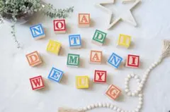 ハロー様専用　アルファベットブロック