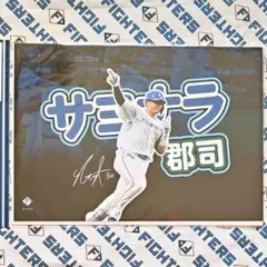 北海道日本ハムファイターズ プレイヤーズピンナップフォトコレクション【郡司裕也】