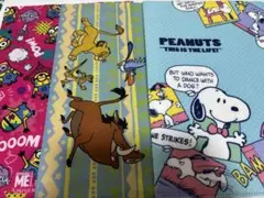 クリアファイル　3枚セット　ミニオン　スヌーピー
