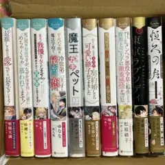 bl小説纏め売り　アンダルシュノベルズセット