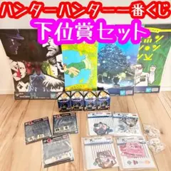 新品未開封　指定ポケットカード全100種！コンプリートカードセット HUNTER×HUNTER 指定ポケットカード全100種コンプリートカード