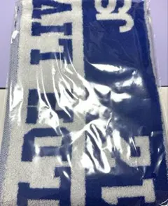 超激レア✨LDH LIVEEXPO 2024✨縁日1等 登坂広臣 マフラータオル LDH EXPO 登坂広臣 マフラータオル 最終値下げ - メルカリ