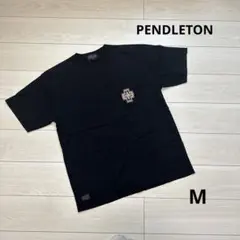 Item thumbnail for item 8c14a691-72c9-4e7b-b64d-898ba542445a