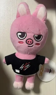 StrayKids スキズ トェッキ ぬいぐるみセット 2026年最新】トェッキ ぬいぐるみの人気アイテム - メルカリ StrayKids