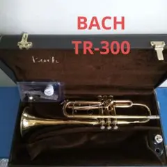 2026年最新】BACH TR 300の人気アイテム - メルカリ