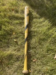 ミズノ木製バット