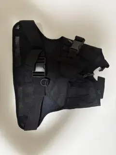 Item thumbnail for item 79c2ff00-5c1c-4c0a-af56-f05d47bbbf43