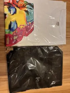 新品未使用】 EUIC NAIC 2025 Tシャツ コダック - メルカリ
