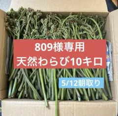 わらび10キロ 809様専用