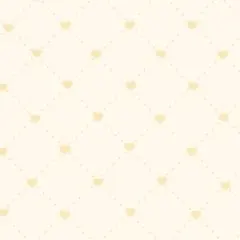 専用