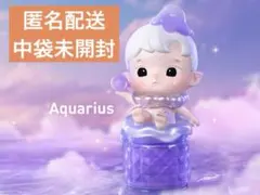 HACIPUPU The Constellation シリーズ　popmart