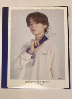 BUTTERFLY EFFECT 新　フォトカード 中島颯太　トレカ
