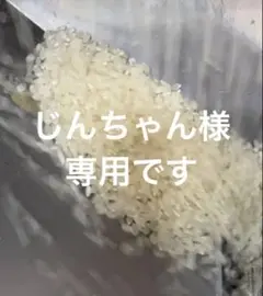 特Aお米 JAいるま野 彩のきずな 5kg×3袋セット 合計15kg 低温貯蔵米