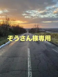 ぞうさん様専用　10袋