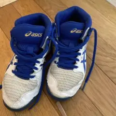 Item thumbnail for item ab37456e-577c-4a03-9c28-09bab198957d