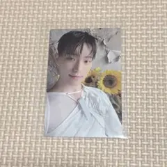 ディノ メンバーシップ トレカ