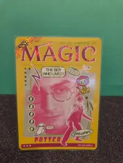 【ハリー・ポッター】トレーディングカード