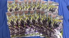 ポケモンカードゲーム アビスの魔剣 拡張パック 19パックセットのサムネイル