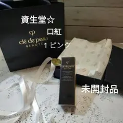 ★資生堂 クレドポーボーテマニフィカトゥールレーブルn