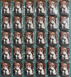 未開封 ツイステ エース 寮服 ラメキラ スクエア缶バッジ 30点