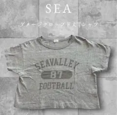 希少SEAシー ダメージクロップドTシャツグレー 短丈古風 完売 日本製のサムネイル