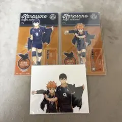 ハイキュー サンシャインシティプリンスホテル コラボ 宿泊者特典 アクスタ ハイキュー サンシャインシティプリンスホテル コラボ 宿泊者特典