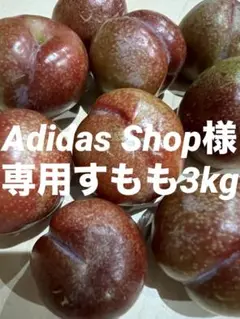 鹿児島産すもも（専用品） Amazon.co.jp: 鹿児島県産 プラム いぐり すもも 5kg 加工用