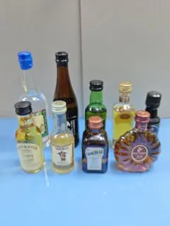 ウイスキー、コニャック ミニボトル 7本セット - メルカリ