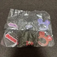 【即日発送】TWICE アクリル カラビナ フロッキー マスコット　2点