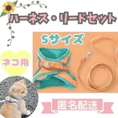 Sサイズ  グリーンオレンジ ハーネス リード 2点セット反射材 首輪 猫 犬