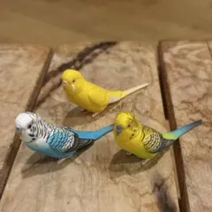 かわさん．様 リクエスト 2点 まとめ商品