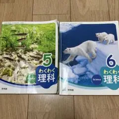 わくわく理科 小学生　5・6年生　小学校教科書 2冊　啓林館