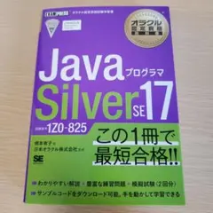 2025年最新】JaVa silver se 17の人気アイテム - メルカリ