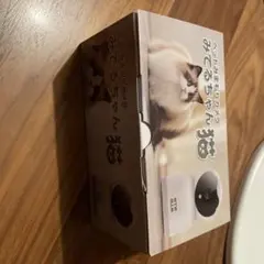 Item thumbnail for item fa4ffd37-a2b9-4974-a28b-8f02c829a5bb