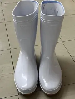 Item thumbnail for item 53dba4ef-5f13-48fb-bec4-e7d2a332d258