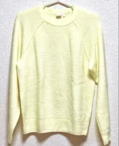 ラグランスリーブ 春ニットセーター　Mサイズ相当　Gap