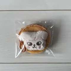 straykids skzoo スンミン　パピーム　ぬいぐるみコインケース