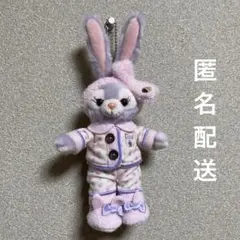 ディズニー　ステラルー　ぬいぐるみバッジ　オータムスリープオーバー
