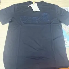 ベルルッティ カリグラフィー 半袖Tシャツ ロゴ ブルー S - メルカリ